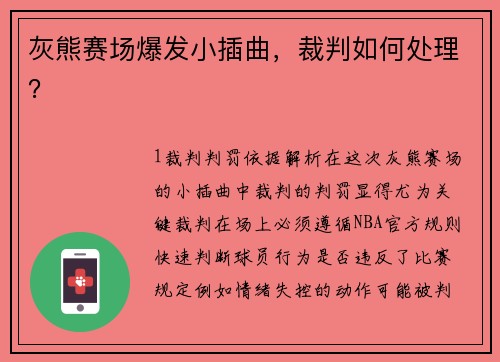 灰熊赛场爆发小插曲，裁判如何处理？